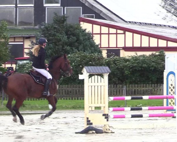 Reitturnier Schülp / Rendsburg 2023