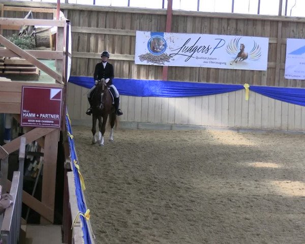 Reitturnier Villmar 2023