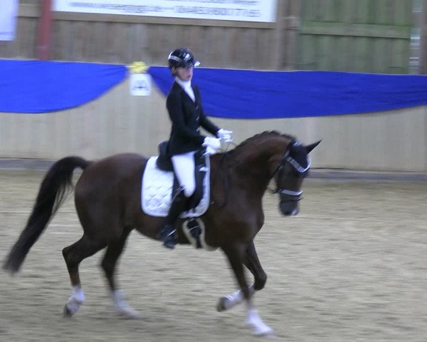 Reitturnier Villmar 2023