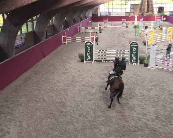 Reitturnier Krumke 2023