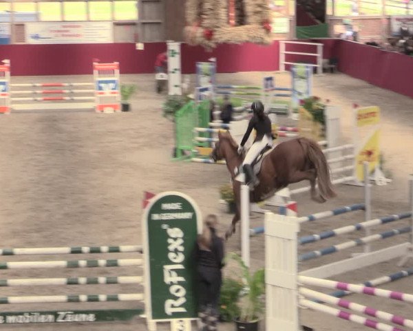 Reitturnier Krumke 2023