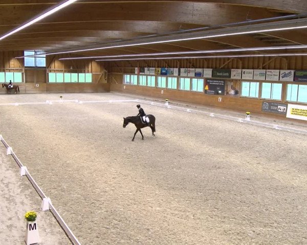 Reitturnier Rüti 2023