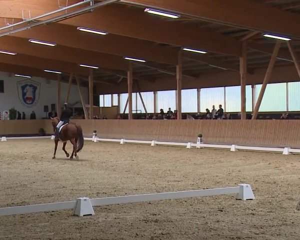 Reitturnier Grafenrheinfeld/Ufr. 2023