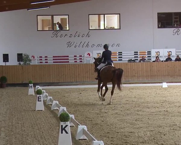 Reitturnier Grafenrheinfeld/Ufr. 2023