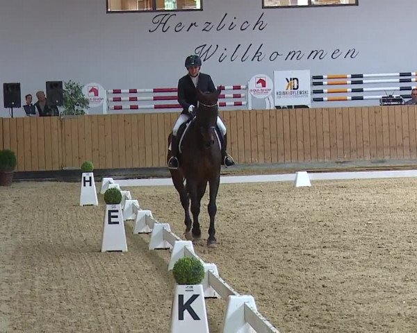 Reitturnier Grafenrheinfeld/Ufr. 2023