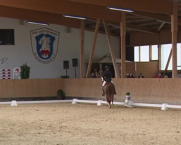 Reitturnier Grafenrheinfeld/Ufr. 2023
