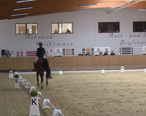 Reitturnier Grafenrheinfeld/Ufr. 2023