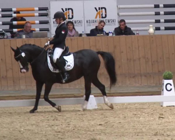 Reitturnier Grafenrheinfeld/Ufr. 2023