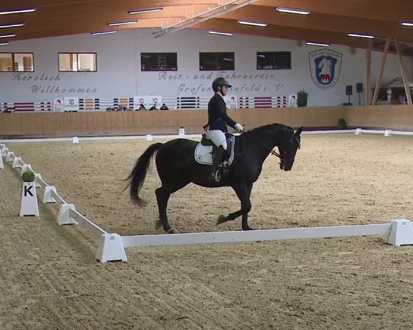 Reitturnier Grafenrheinfeld/Ufr. 2023