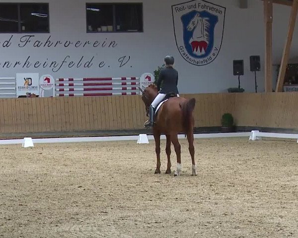 Reitturnier Grafenrheinfeld/Ufr. 2023