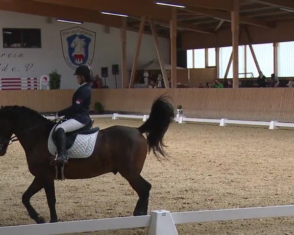 Reitturnier Grafenrheinfeld/Ufr. 2023