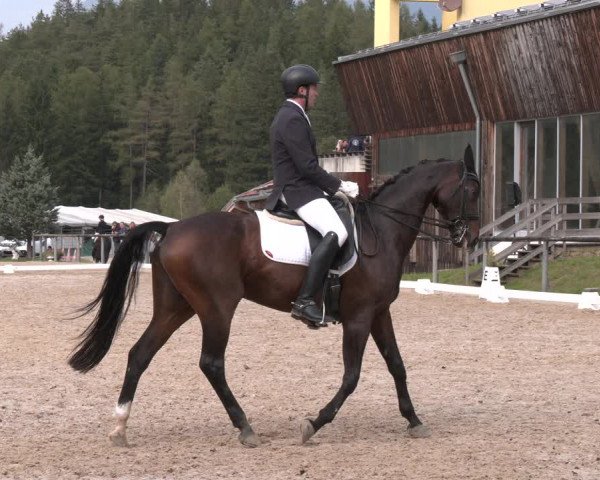 Dressurturnier Igls 2023