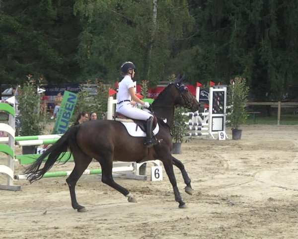 Springturnier Walldorf/Winterheck 2021