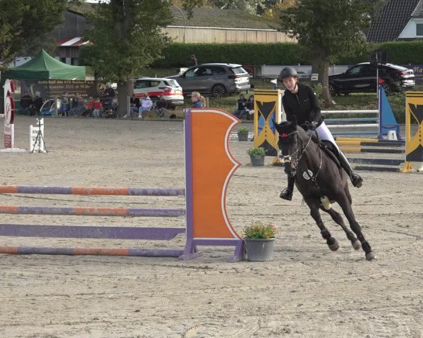 Reitturnier Handorf 2023