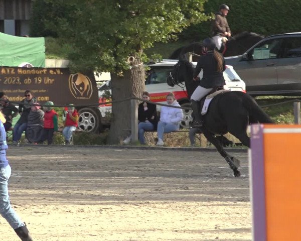 Reitturnier Handorf 2023