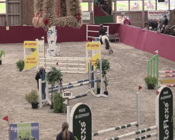 Reitturnier Krumke 2023