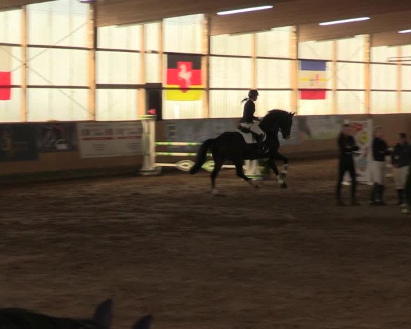 Reitturnier Pausin 2023