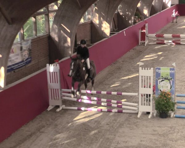 Reitturnier Krumke 2023