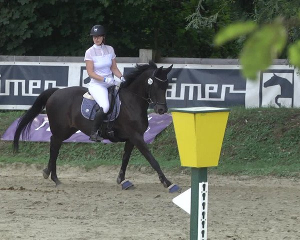 Springturnier Walldorf/Winterheck 2021