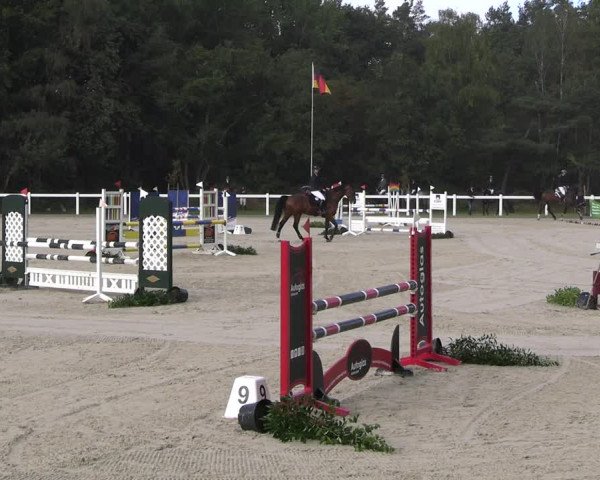 Reitturnier Essen - Herbstturnier 2023
