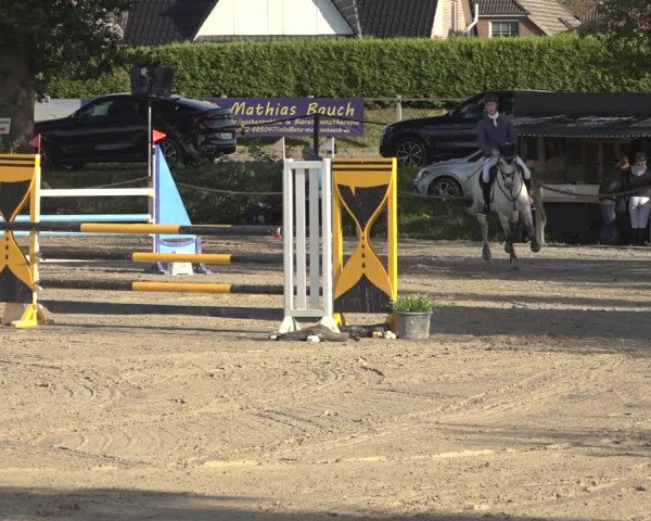 Reitturnier Handorf 2023