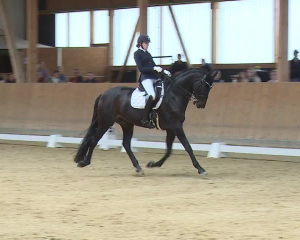 Reitturnier Grafenrheinfeld/Ufr. 2023