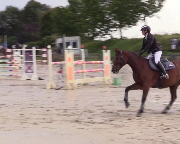 Reitturnier Schülp / Rendsburg 2023
