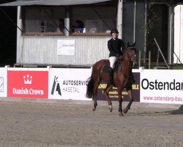 Reitturnier Essen - Herbstturnier 2023