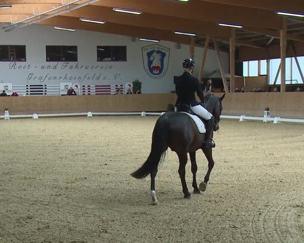 Reitturnier Grafenrheinfeld/Ufr. 2023