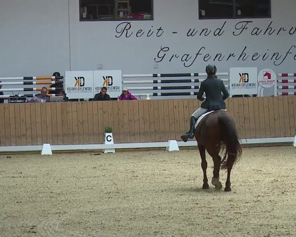 Reitturnier Grafenrheinfeld/Ufr. 2023