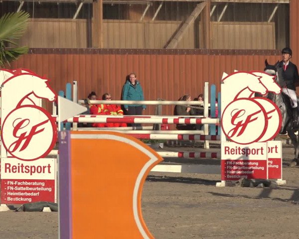 Reitturnier Handorf 2023
