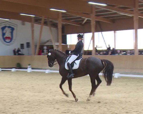 Reitturnier Grafenrheinfeld/Ufr. 2023