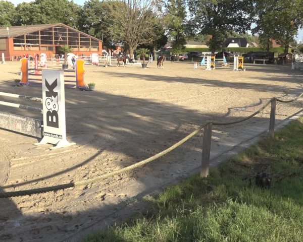 Reitturnier Handorf 2023