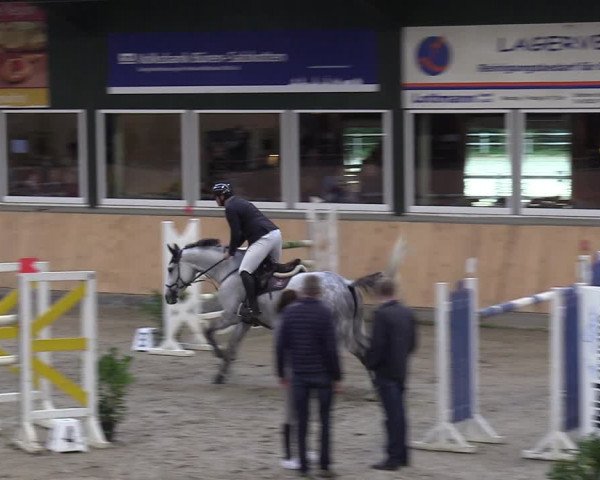 Reitturnier Salzkotten 2023