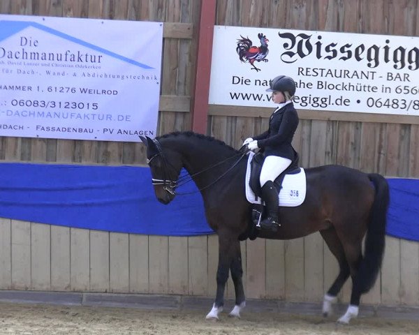 Reitturnier Villmar 2023