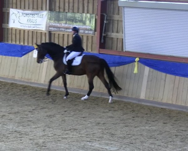 Reitturnier Villmar 2023