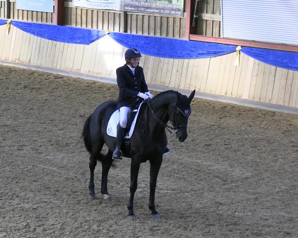 Reitturnier Villmar 2023