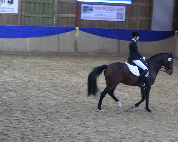 Reitturnier Villmar 2023