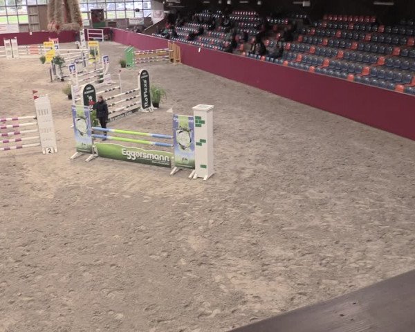 Reitturnier Krumke 2023