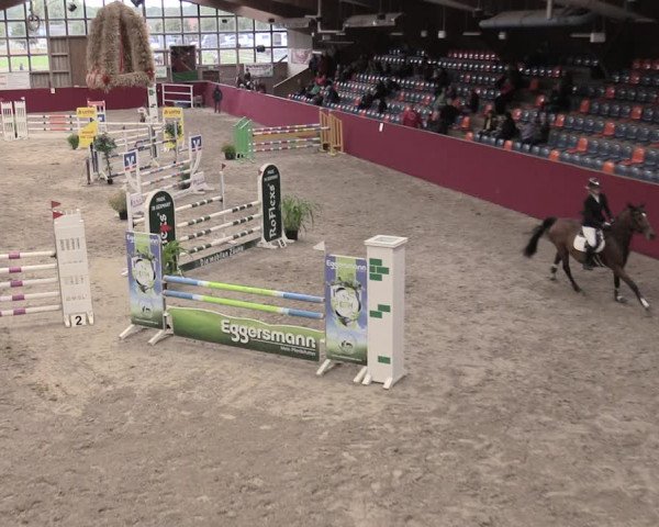Reitturnier Krumke 2023