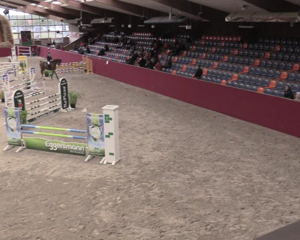 Reitturnier Krumke 2023