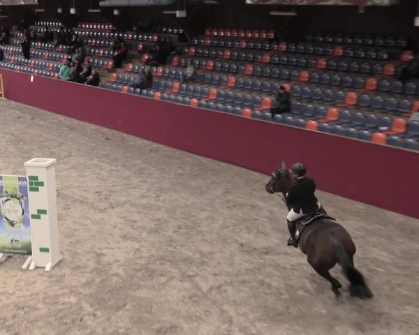 Reitturnier Krumke 2023