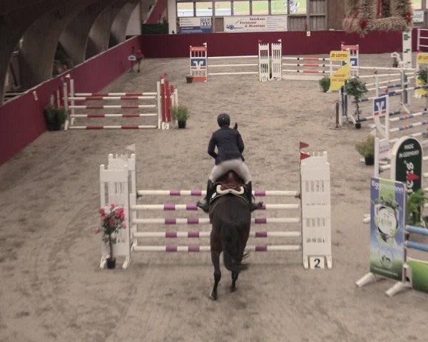 Reitturnier Krumke 2023