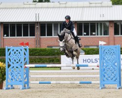 jumper Cristo 18 (Holsteiner, 2015, from Casall Ask)