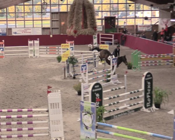 Reitturnier Krumke 2023