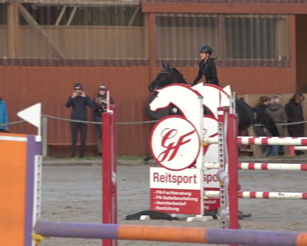 Reitturnier Handorf 2023