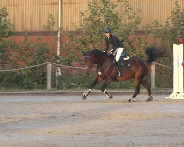 Reitturnier Handorf 2023