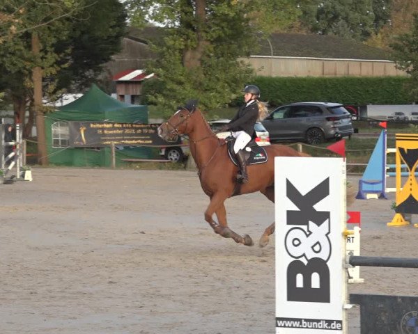 Reitturnier Handorf 2023