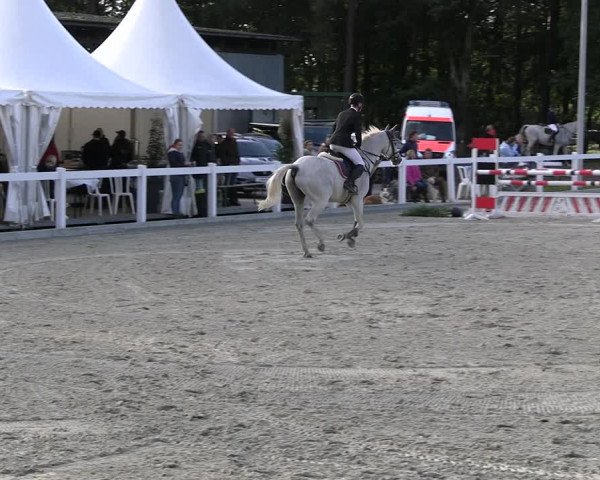 Reitturnier Essen - Herbstturnier 2023