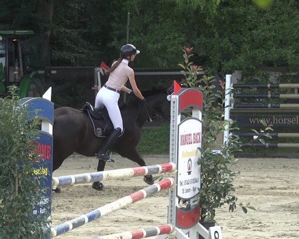 Springturnier Walldorf/Winterheck 2021
